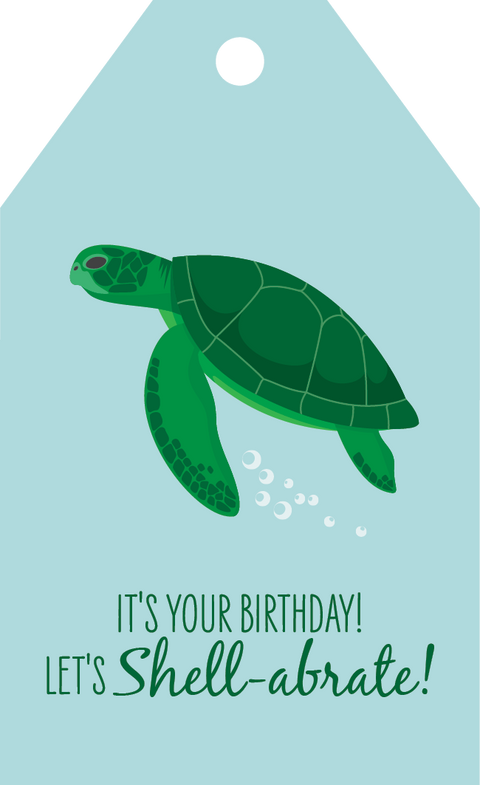 Green Turtle Birthday Gift Tag
