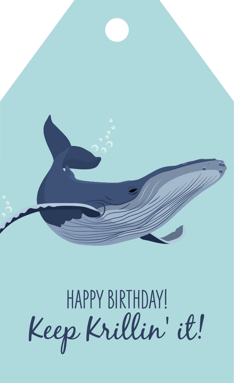 Humpback Whale Birthday Gift Tag