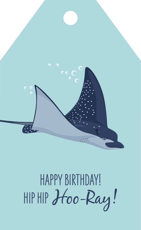 Spotted Eagle Ray Birthday Gift Tag