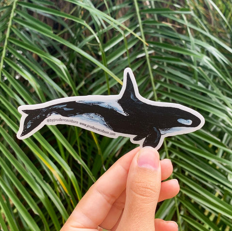 Orca vinyl sticker