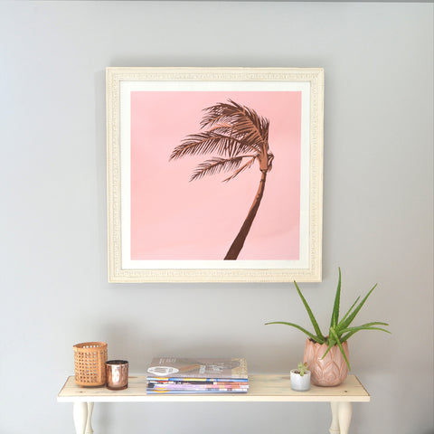 original australian palm tree bending in the wind in pink