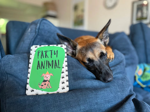 Cheeky Caption Cards - Dog Edition